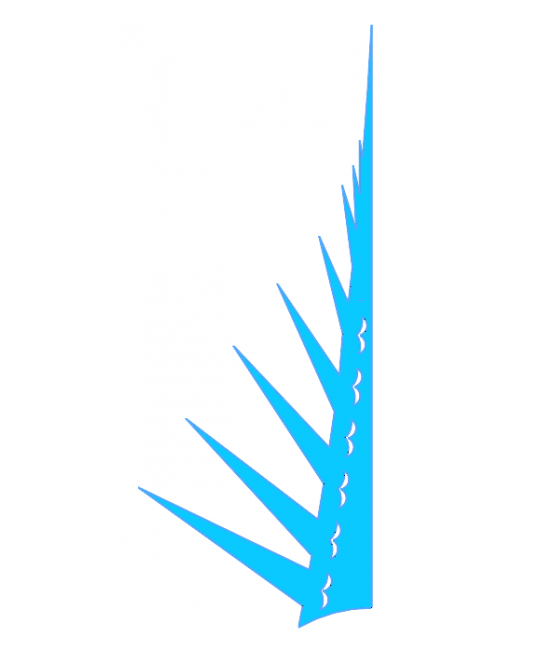 1574910063.png image.png