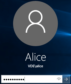 以VDE \ Alice身份登录VEW3 以VDE \ Alice身份登录VEW3